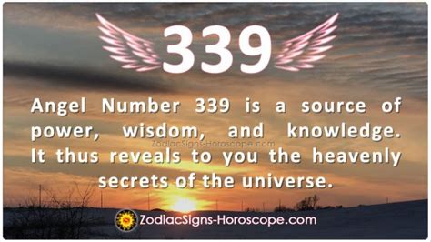 339 Angel Number in career