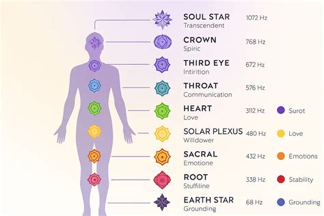 Aura and Chakra System
