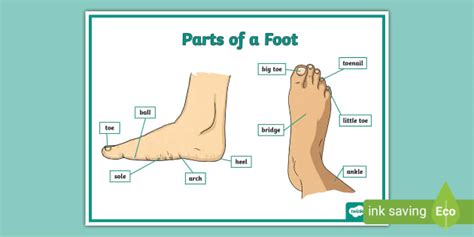 Bare Feet Parts