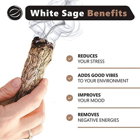 Benefits of White Sage