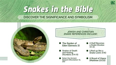 Biblical Snake Symbolism