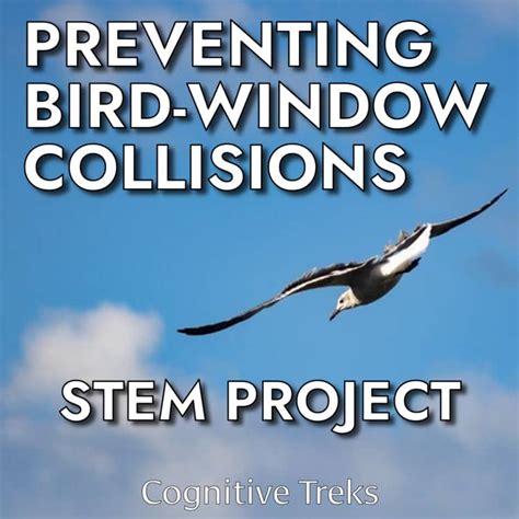 Bird collision prevention