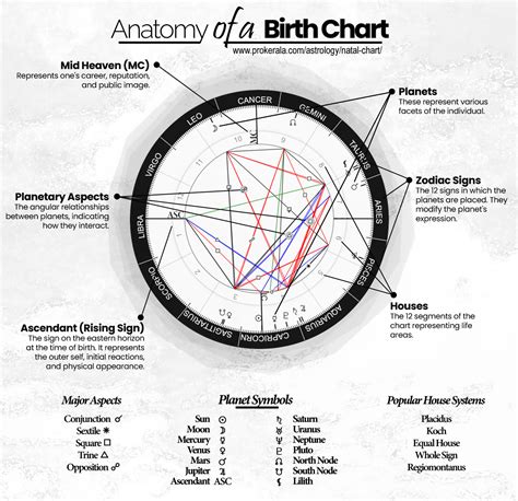 Birth Chart