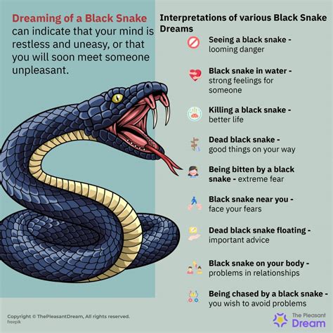 Black Snake Dream Symbolism