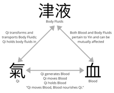 Blood and Qi relationship