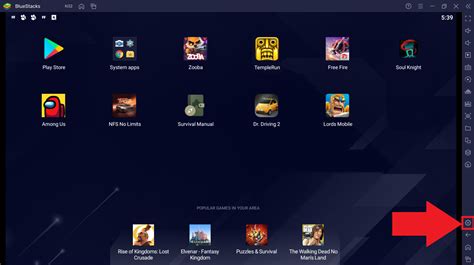 BlueStacks Interface