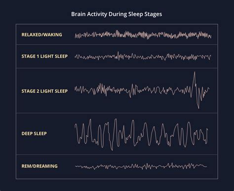 Brain Activity During Sleep