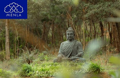 Buddhist and Shamanic Practices