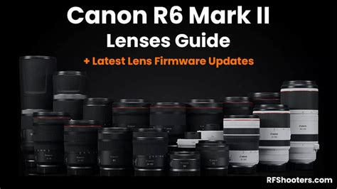 Canon R6 with various lenses
