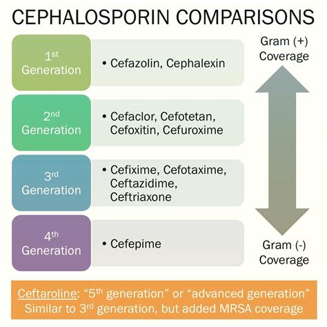Cefazolin vs Cephalexin