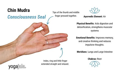 Chin Mudra Steps