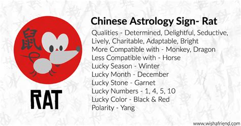 Chinese Zodiac Rat Traits
