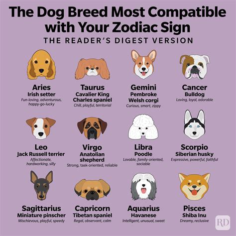 Dog Zodiac Sign