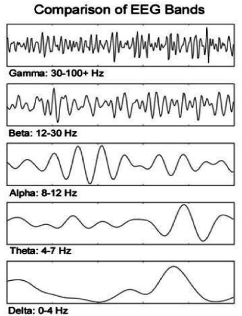 EEG frequency bands