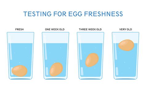 Egg Test