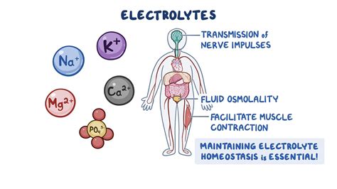 Electrolyte Balance