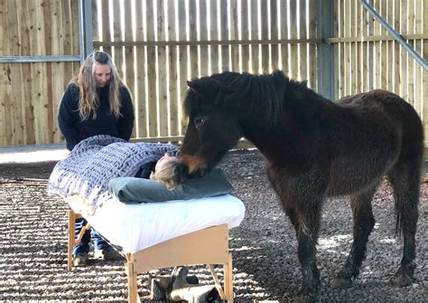 Equine Assisted Reiki