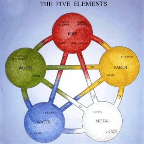 Five Elements Cycle
