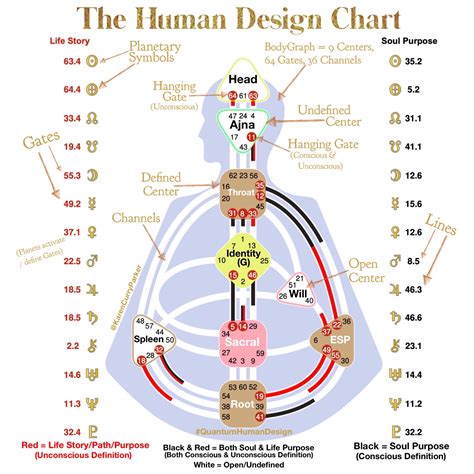 Human Design Chart Example