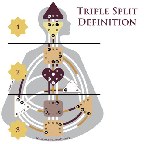 Human Design Triple Split