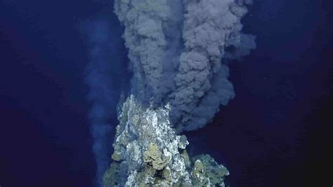 Hydrothermal Vent