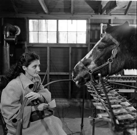 Lady Wonder with Mrs. Fonda