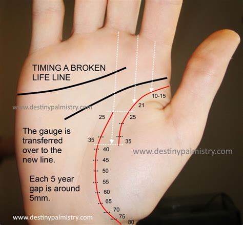 Life Line Palmistry