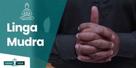 Linga Mudra
