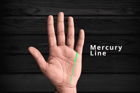 Mercury Line