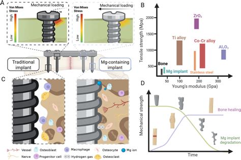 Mg-containing implants