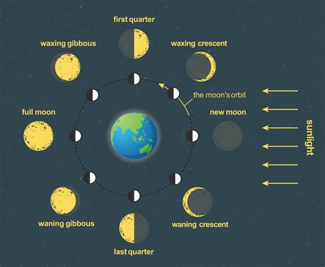 Moon phases