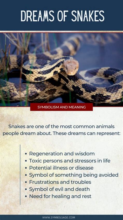 Negative Interpretations of Snakes in Dreams