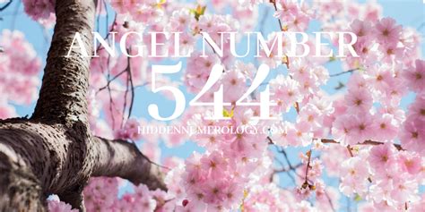 Numerology 544