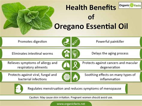 Oregano Essential Oil Benefits