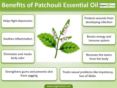 Patchouli Oil Benefits