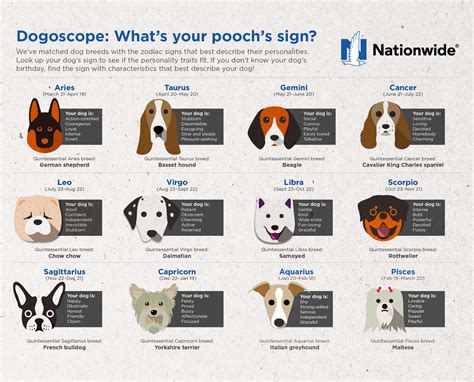 Pet Astrology Signs