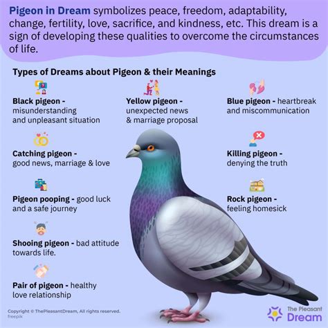 Pigeon Dream