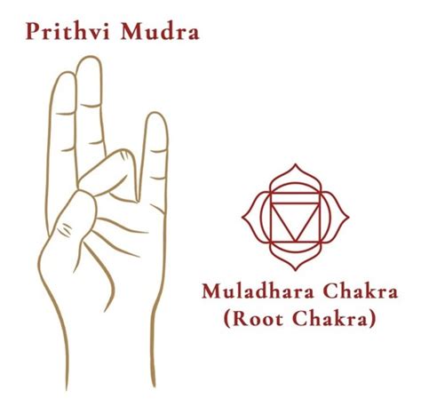 Prithvi Mudra for Root Chakra