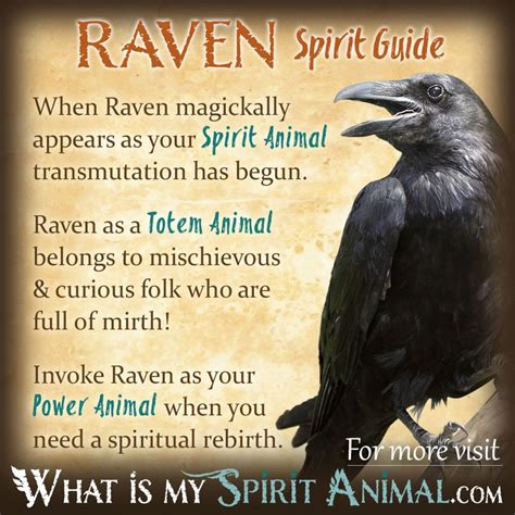 Raven Symbolism