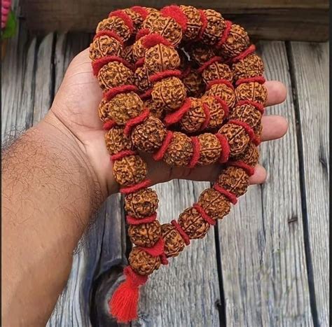 Rudraksha Beads
