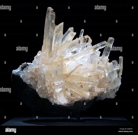Selenite Crystal Cluster