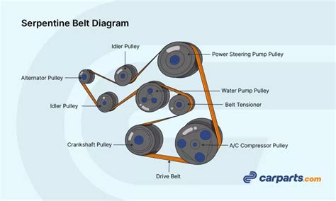 Serpentine Belt Diagram