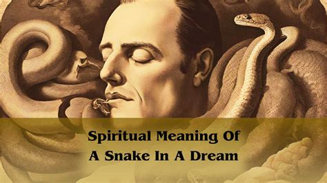 Snake Dream Interpretation
