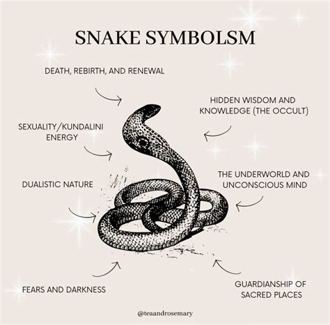 Snake Symbolism