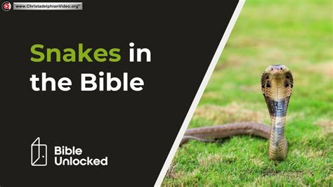 Snakes in the Bible