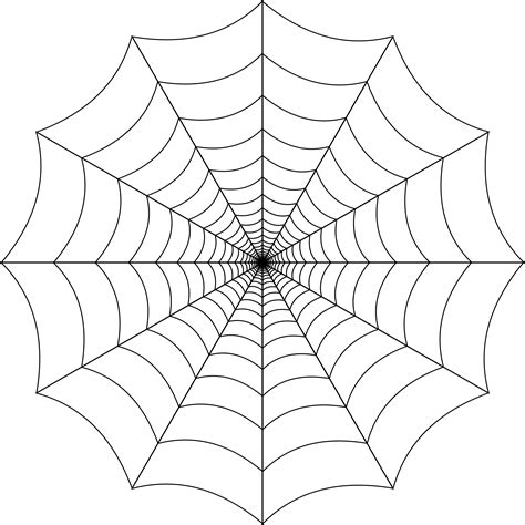 Spider web