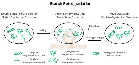 Starch Retrogradation