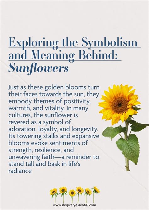 Sunflower Meaning