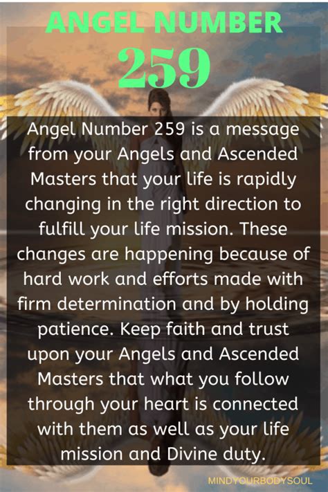 Twin Flames and Angel Number 259
