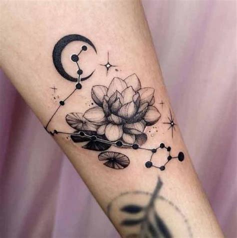 Water Lily and Pisces